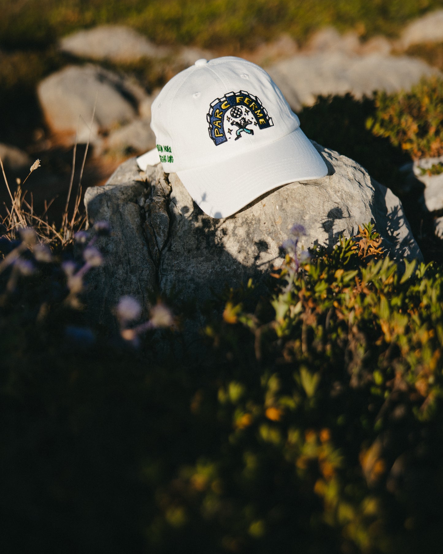 LM 24 HRS CAP